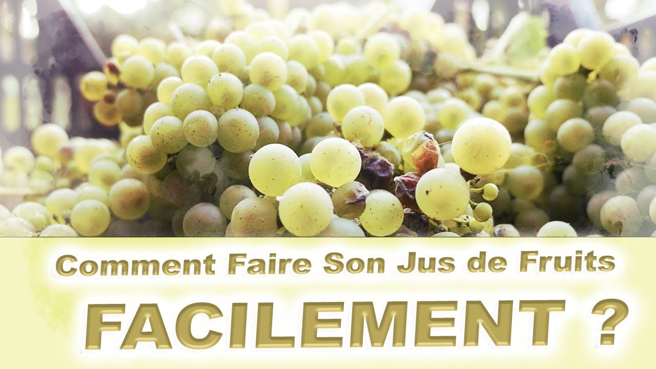 Comment Fabriquer ses Jus de Raisins FACILEMENT (Pomme ,poire et fruits rouges)