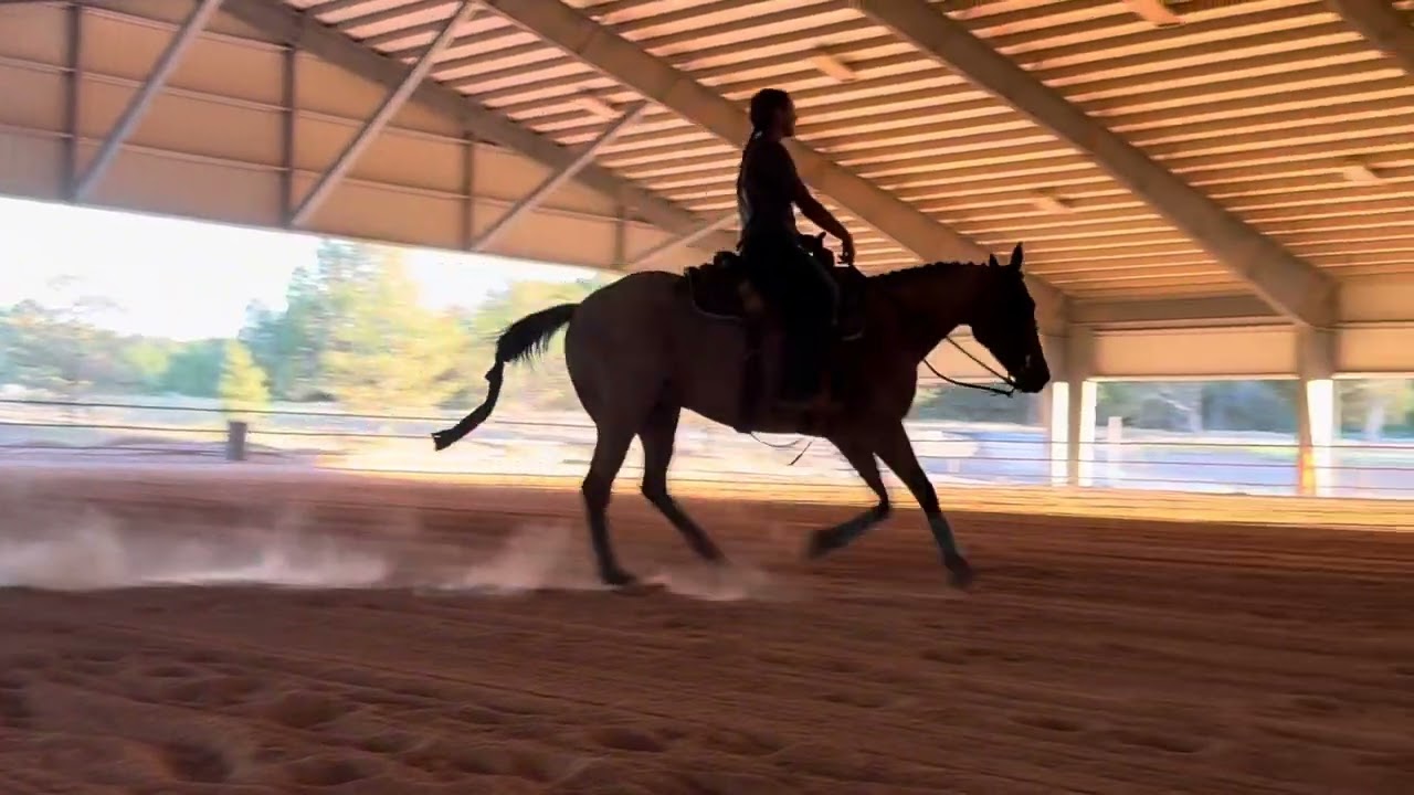 Arabella Clark NCEA Recruitment: Ranch Riding