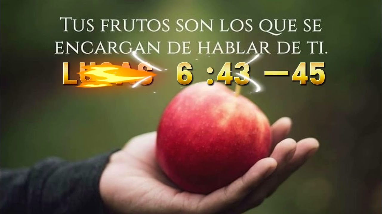 LUCAS 6:43-45 por sus frutos los conoceréis