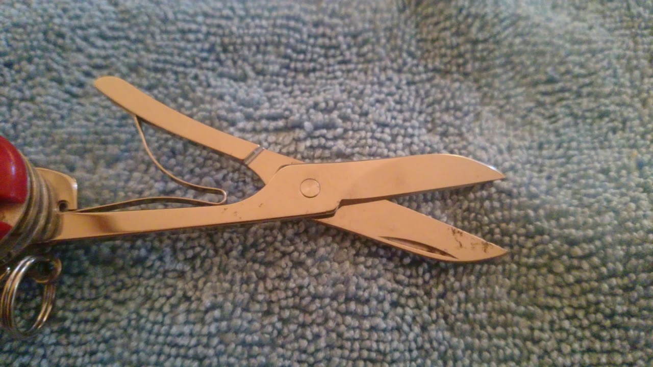 Sackmesser Reinigung