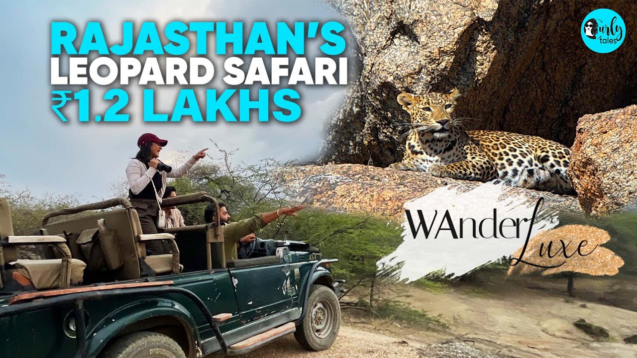 India’s No.1 Leopard Safari Region, Jawai At ₹1.2 Lakhs++ | WanderLuxe Ep 19 | Curly Tales
