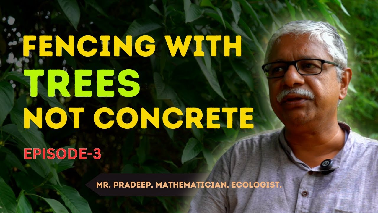 Eco-Friendly Fence Ideas for Forest Farms | Legumes, Millets & Tree Wisdom