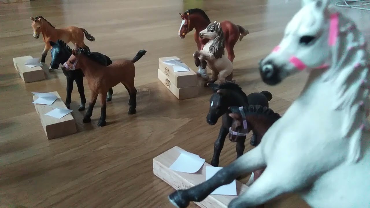 SZKOŁA 🏫 KONI SCHLEICH by Pola 🐎🤗|| PRZYGODY W STADNINIE 