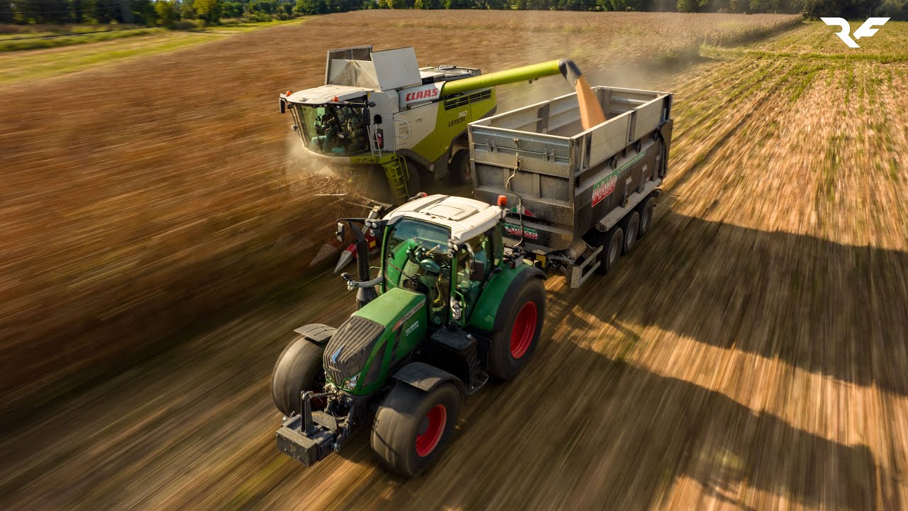 |Mais Harvest 2024|Claas Lexion 740 & Dominoni 970|Candiotto|