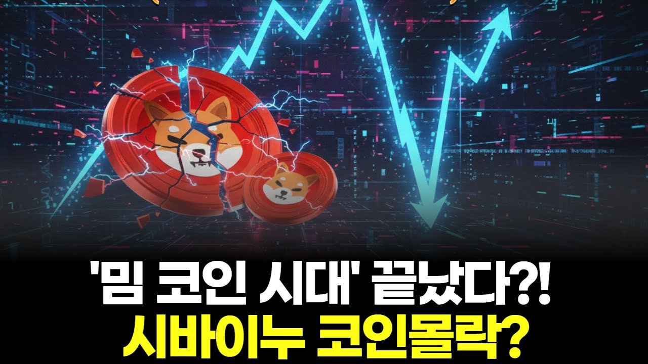 '밈 코인 시대' 끝났다?! 시바이누 코인몰락?