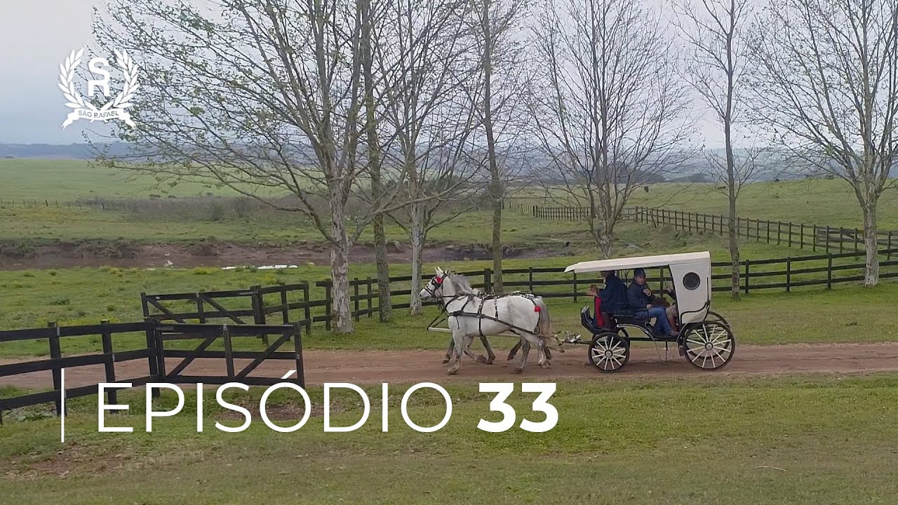 As Domadoras - Conexão Com o Cavalo | FASE FINAL | EPISÓDIO 33
