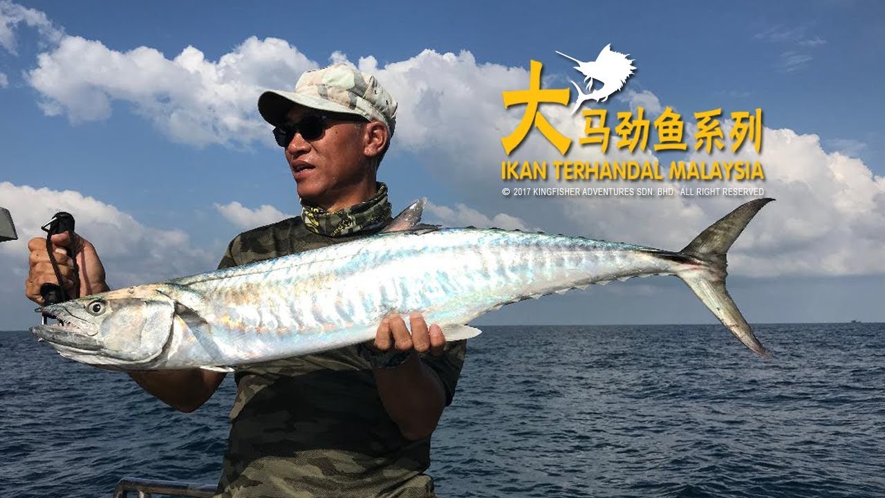 NO.177 SPEED JIGGING FOR MACKEREL