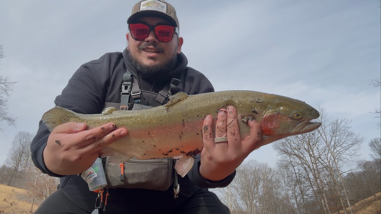INSANELY BIG FISH!!!! 😱😱😱 (Hawkins Mill trophy trout!!)