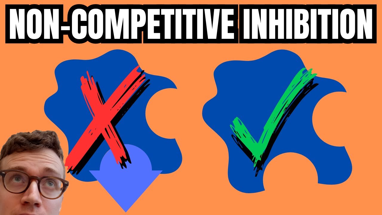 NON-COMPETITIVE INHIBITION EXPLAINED