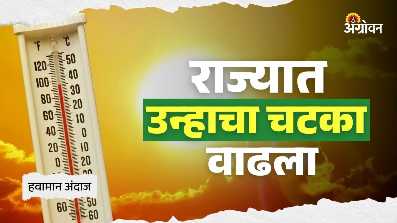 Weather Update: कोकणातील काही भागात उष्ण आणि दमट हवामानाचा अंदाज | Agrowon