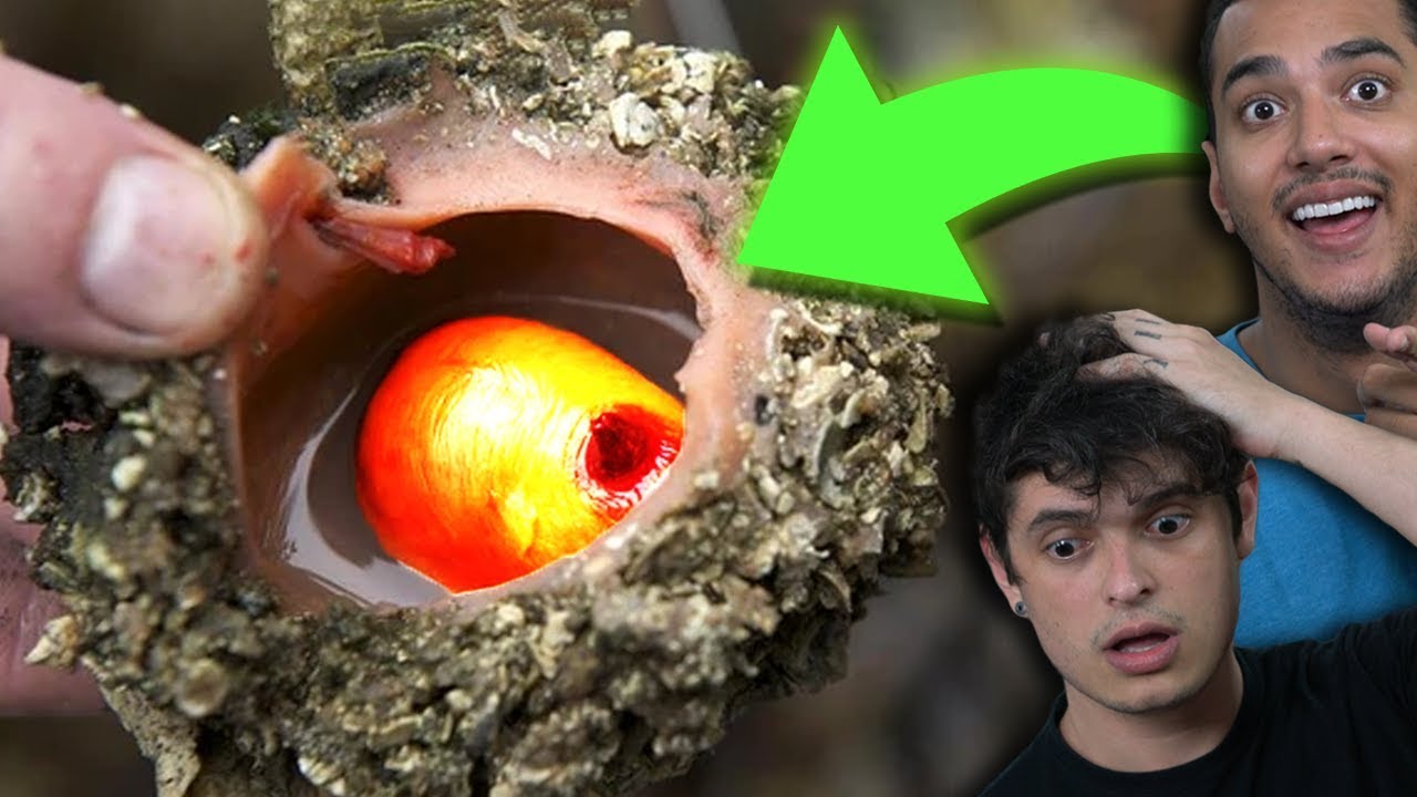 10 PESSOAS QUE FICARAM RICAS DO DIA PRA NOITE