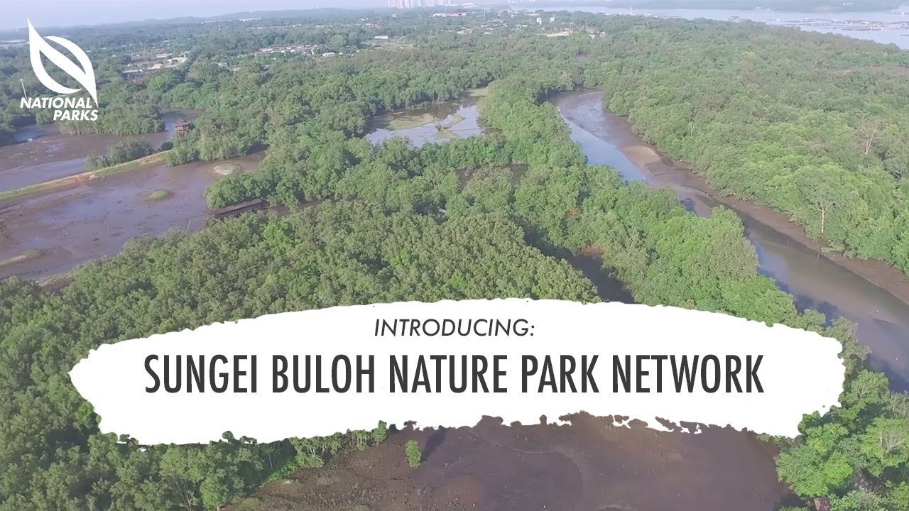 Introducing Sungei Buloh Nature Park Network