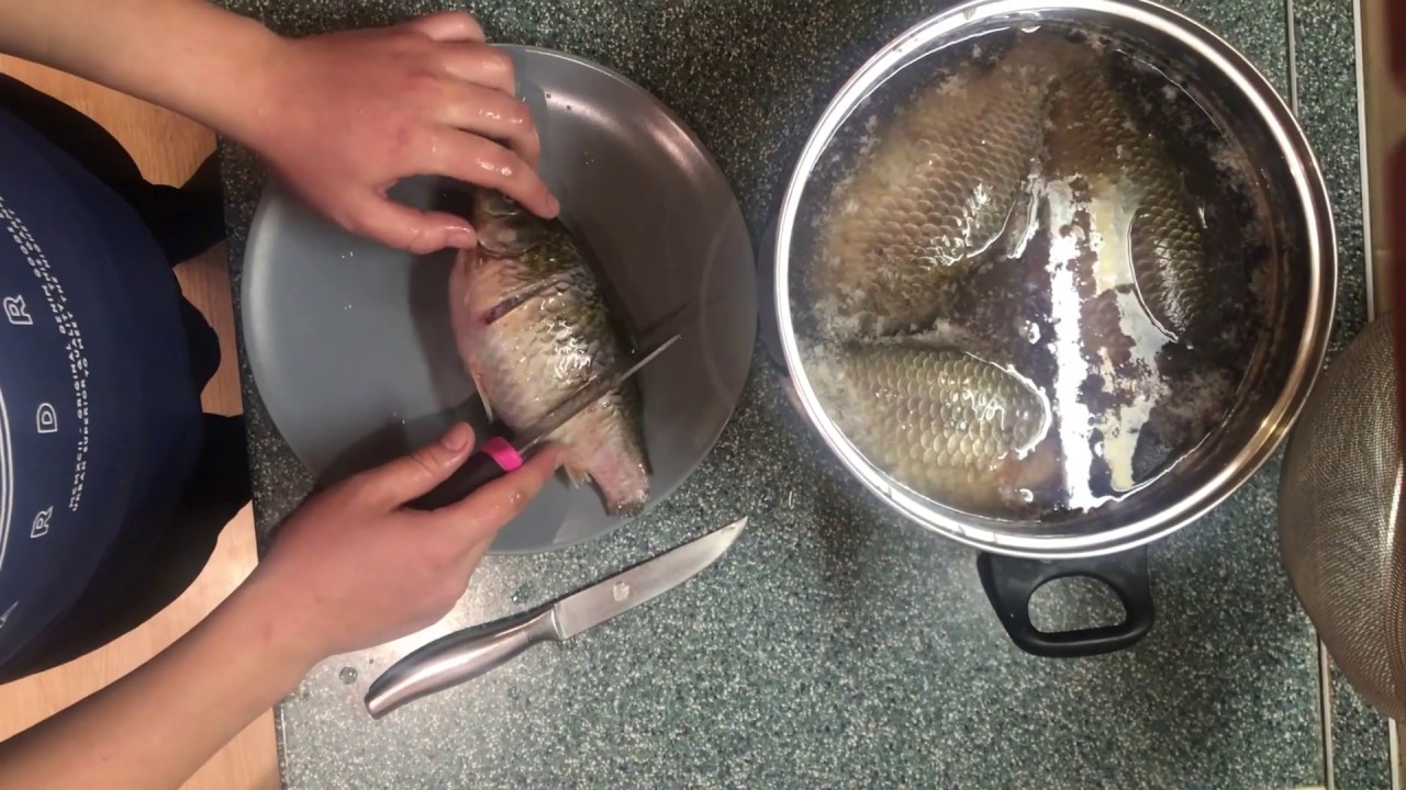 Как чистить карася и удалить желчь