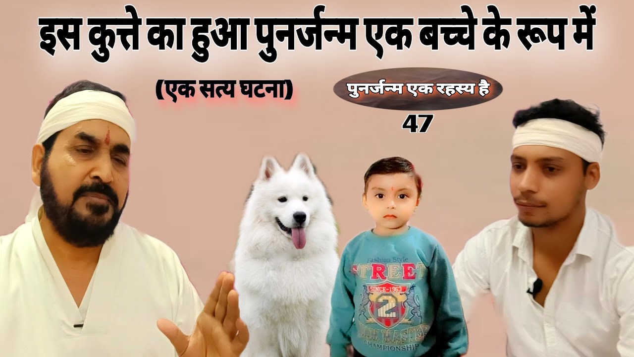 (पुनर्जन्म एक रहस्य) एक कुत्ते का हुआ पुनर्जन्म इस बच्चे के रूप में #mystery #ektusachcha #Rebirth