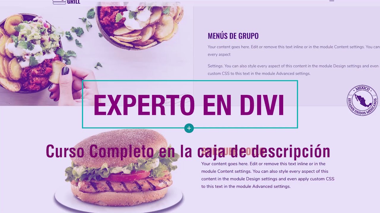 Filas y Columnas en Divi