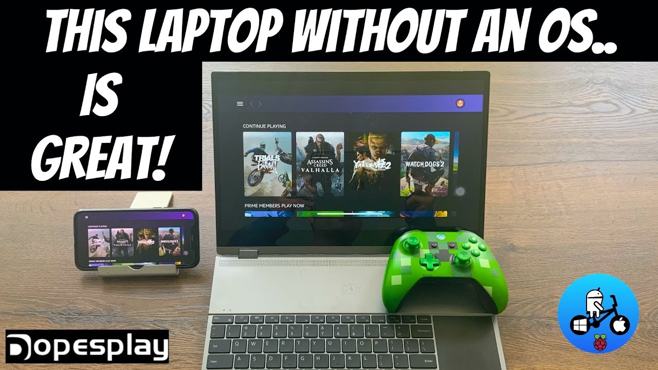 This Laptop with no OS works with everything! Dopesplay DR158W