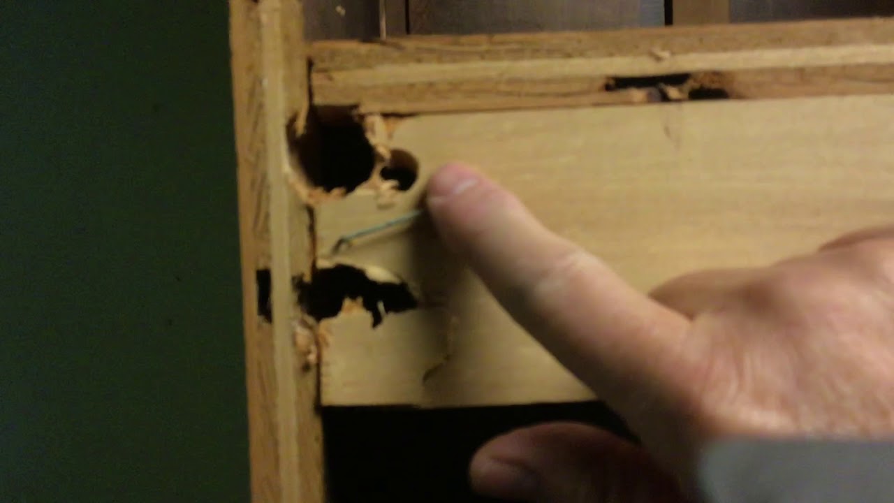 How to remove cabinets that are nailed in