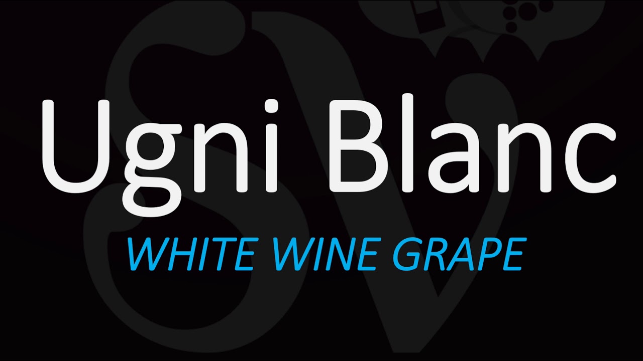 How to Pronounce Ugni Blanc? The Grape behind Cognac & Armagnac Brandy