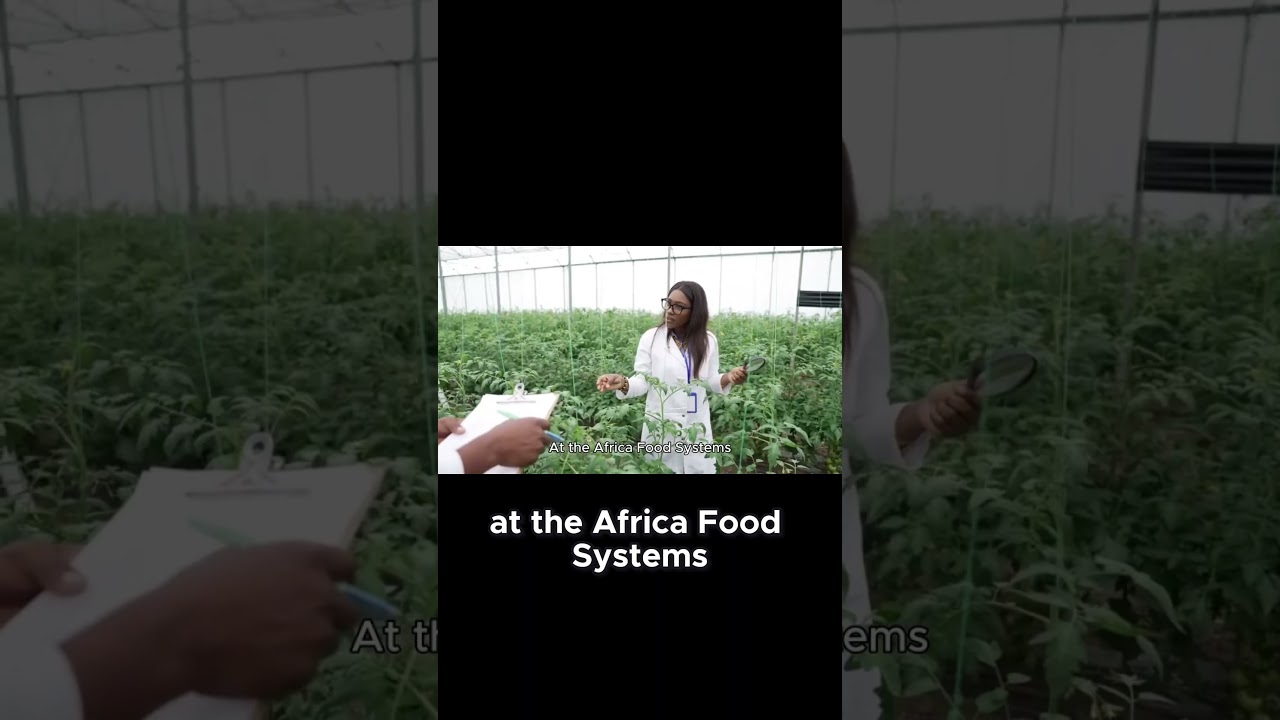 Liberia's Bold $900 Million Plan to Transform Agriculture And End Hunger
