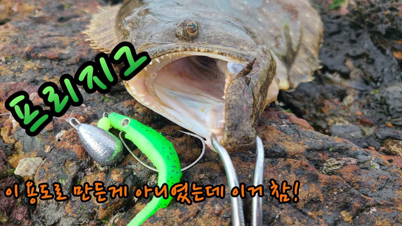 [ 광어루어낚시 ] 광어는 프리지그로... 밑걸림 심한곳 바닥 찍는 감도가 어려운분들 프리지그로 공략하세요.