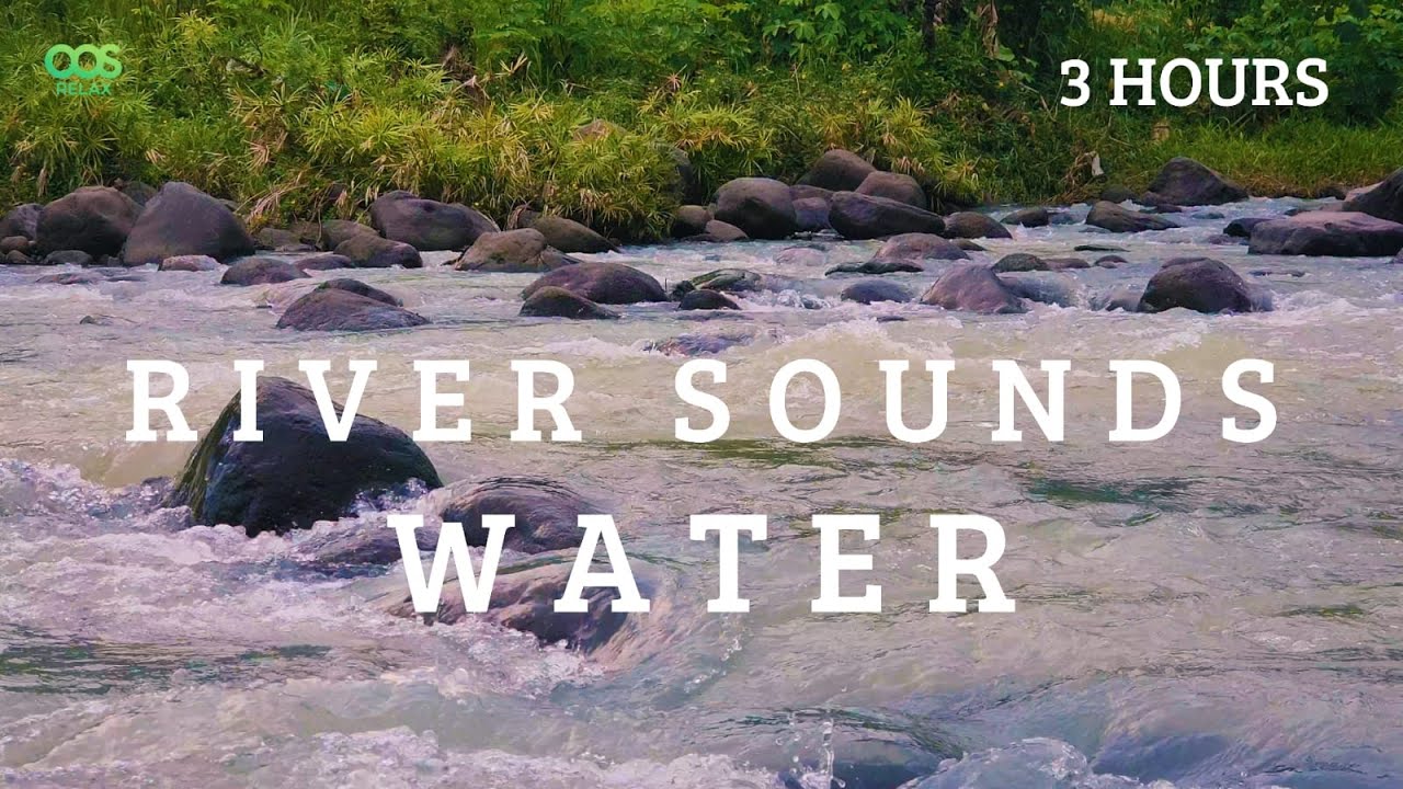 Rushing River ASMR: Soothing Rapids & Calming Sounds 🌊