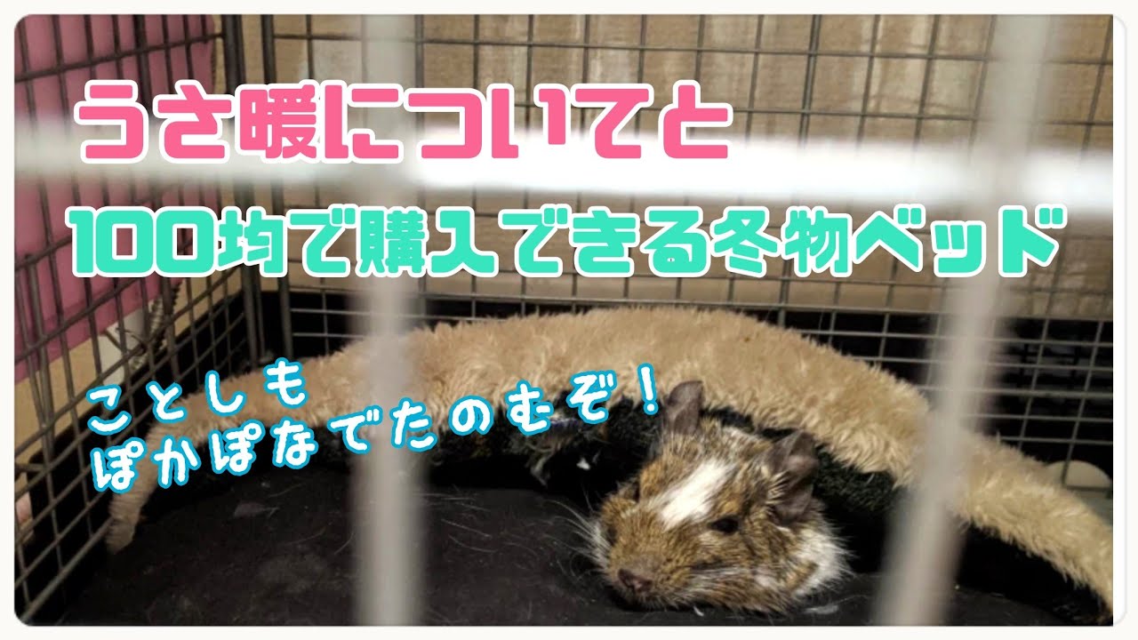 冬物とうさ暖についての疑問