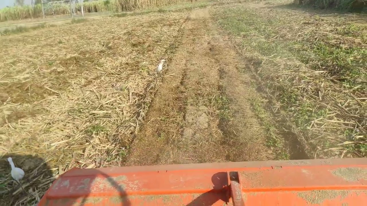 Rotary mulchar/ Paddy straw chopper 