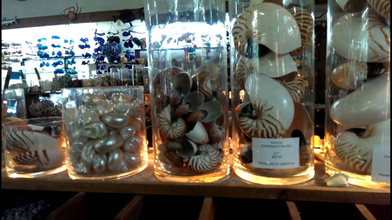 Shell World, FL Keys