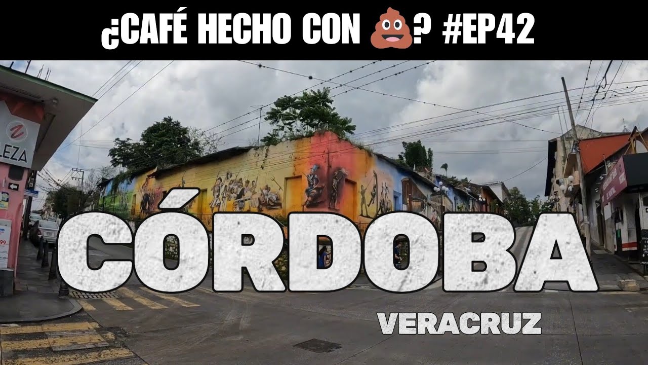 LA RUTA DE LA NEBLINA (PELIGROSA) Y TODO SOBRE EL CAFÉ EN CÓRDOBA VERACRUZ - CONOCIENDO MÉXICO EP 42
