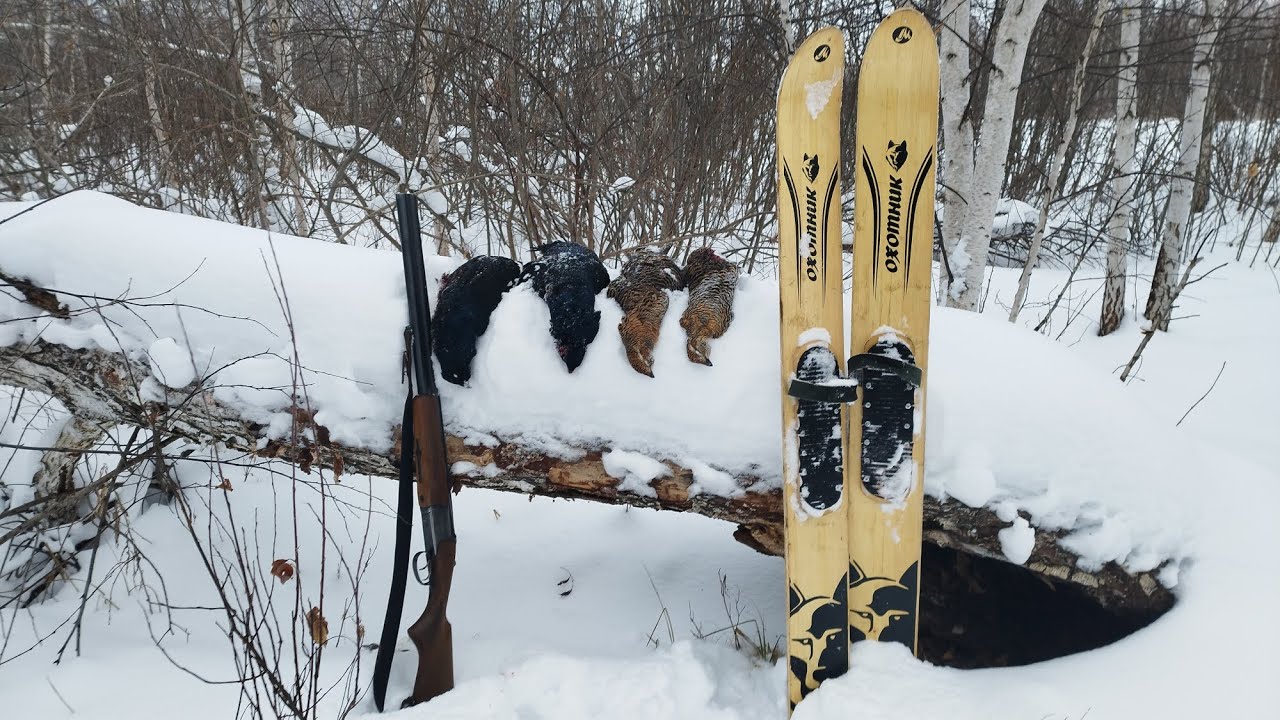 На лыжах в поисках лунок!!! Охота на тетерева, Омская область!!!