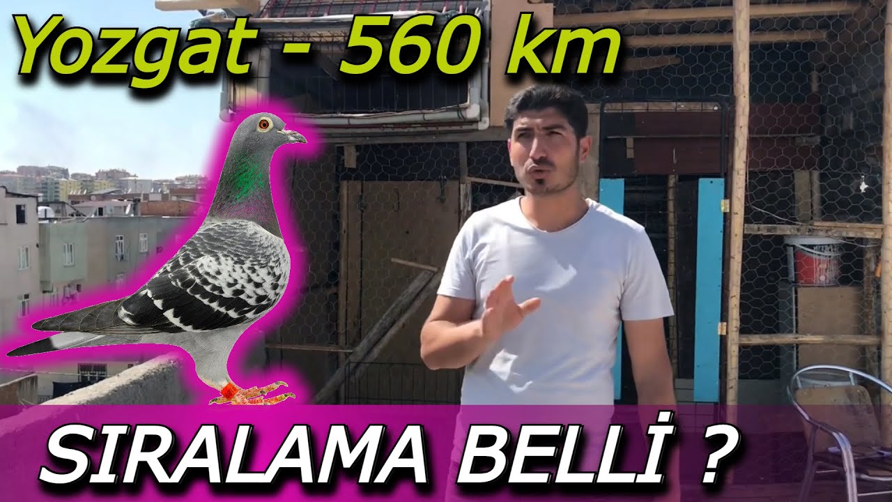 Posta yarışı 560 km Diyarbakır-Yozgat etabı