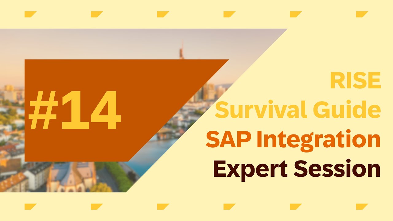 RISE Survival Guide for Integration