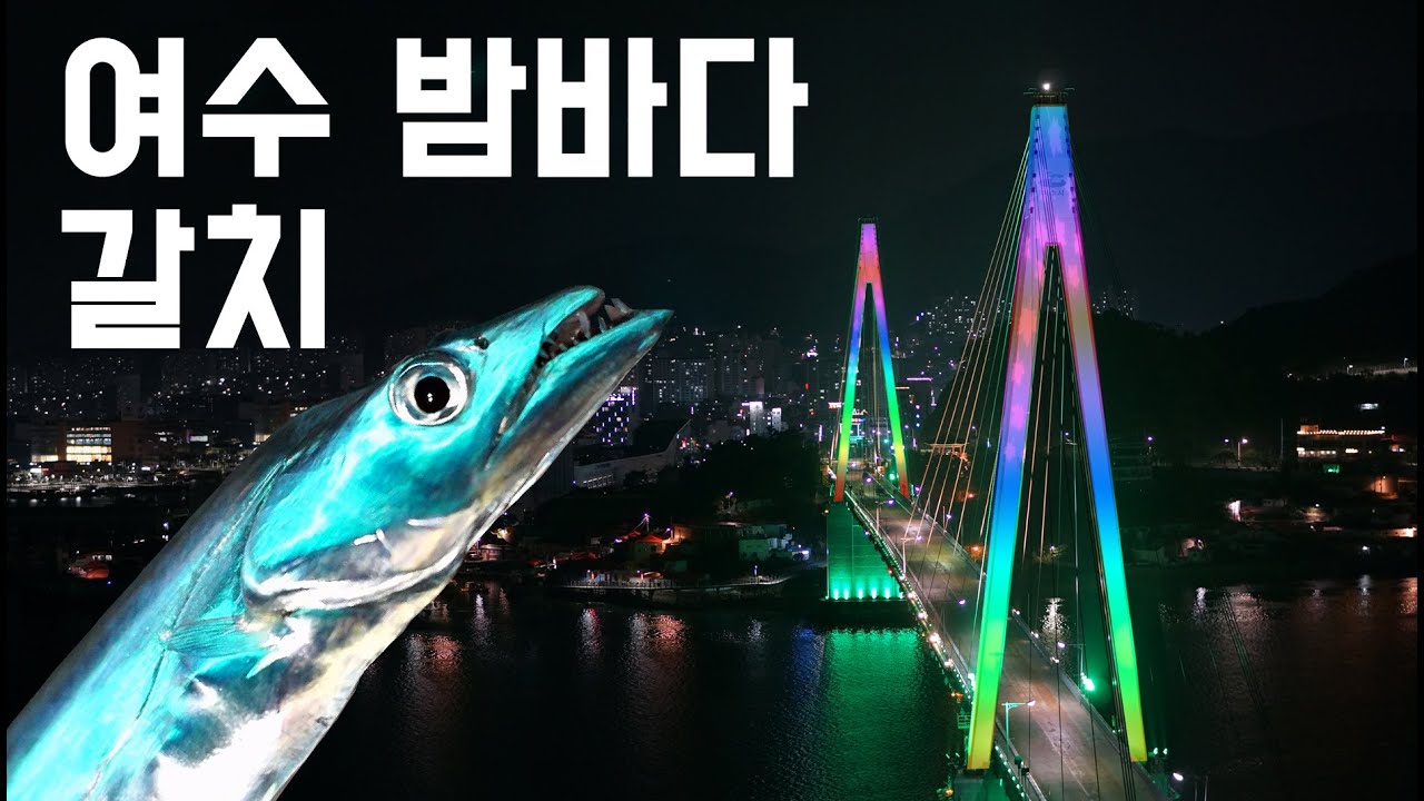 [락키쇼어] 여수 밤바다 그 조명에 담긴, 아름다운 갈치 얘기가 있어 / 여수밤바다에 낚시꾼이 가면 생기는 일