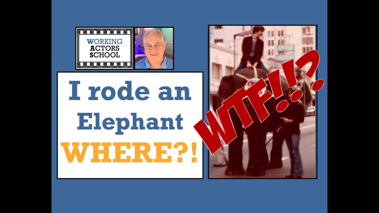I rode an Elephant WHERE?!