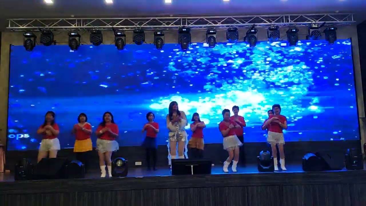 可爱的玫瑰花