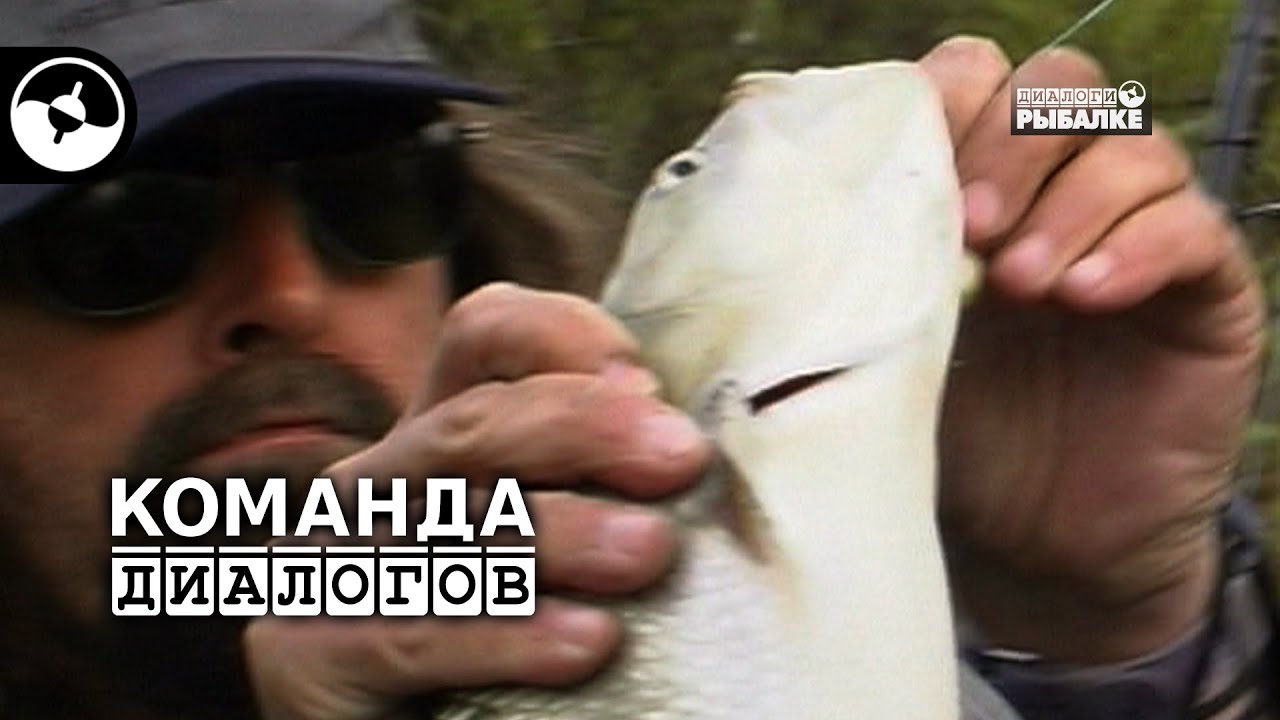 Охота на жереха | Классика