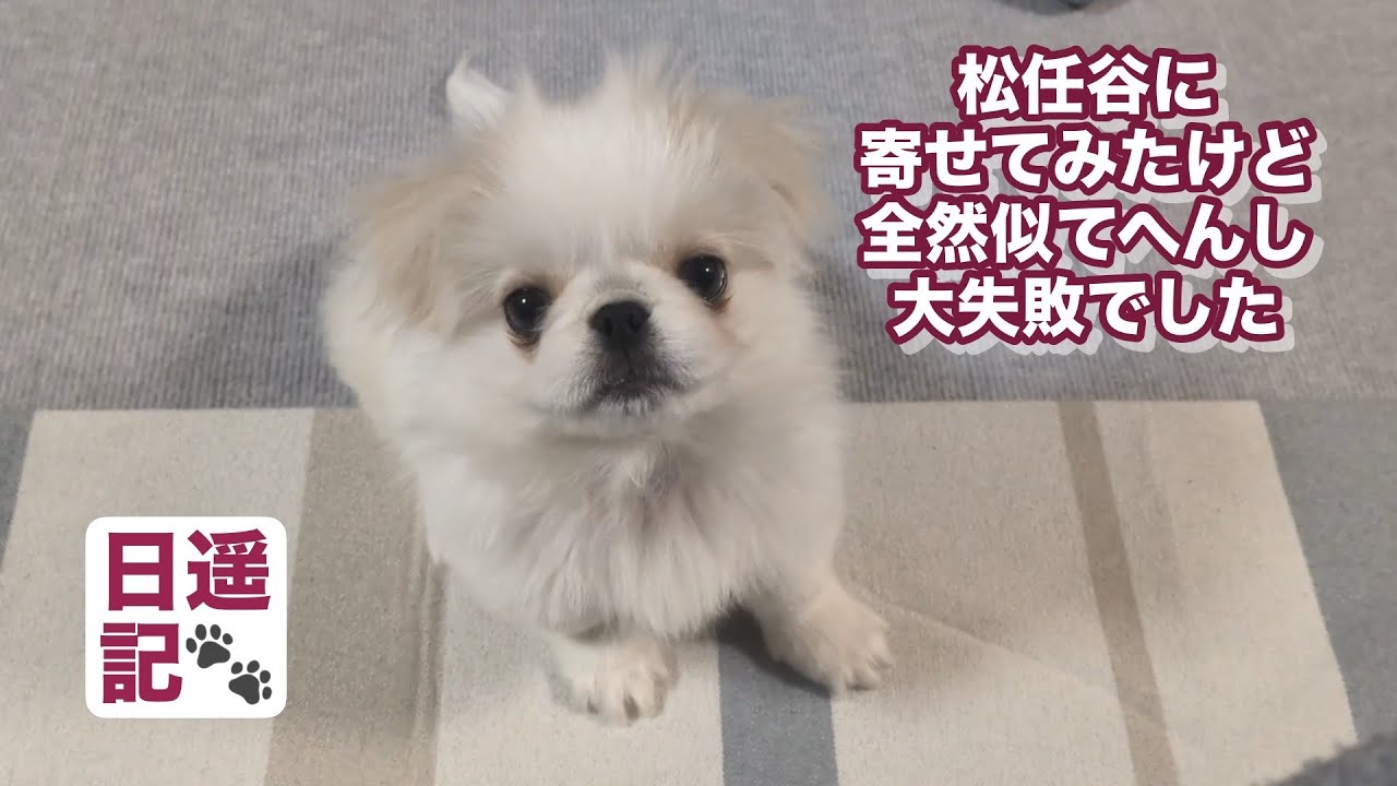 2026年3月7日　歌って踊って芝居の出来る65歳の遥パパでぇス❗️