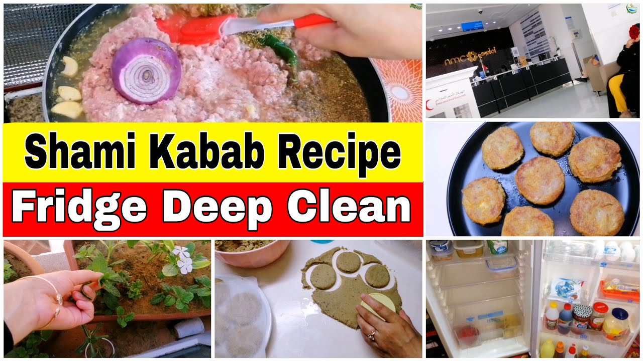Preparing for Ramadan 2026 🌙 | Fridge Deep Cleaning & Shami Kabab Freezer prep #pearlsofLife