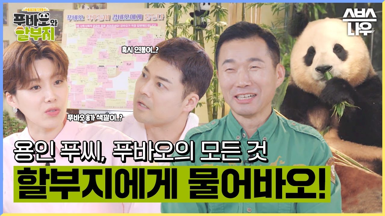 [1회 요약] 푸바오의 탄생부터 쌍둥바오 까지! 강철원 할부지가 알려주는 푸바오의 모든 것🐼 #푸바오와할부지 l SBSNOW