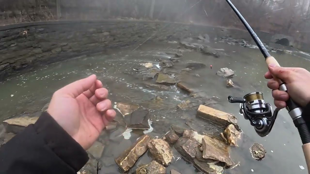 Wisconsin Steelhead scouting 