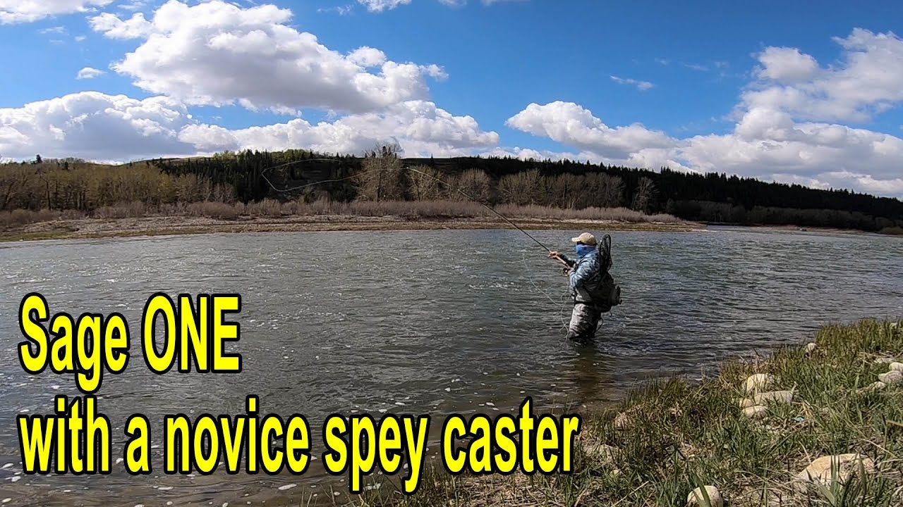 Sage ONE: good for novice spey casters