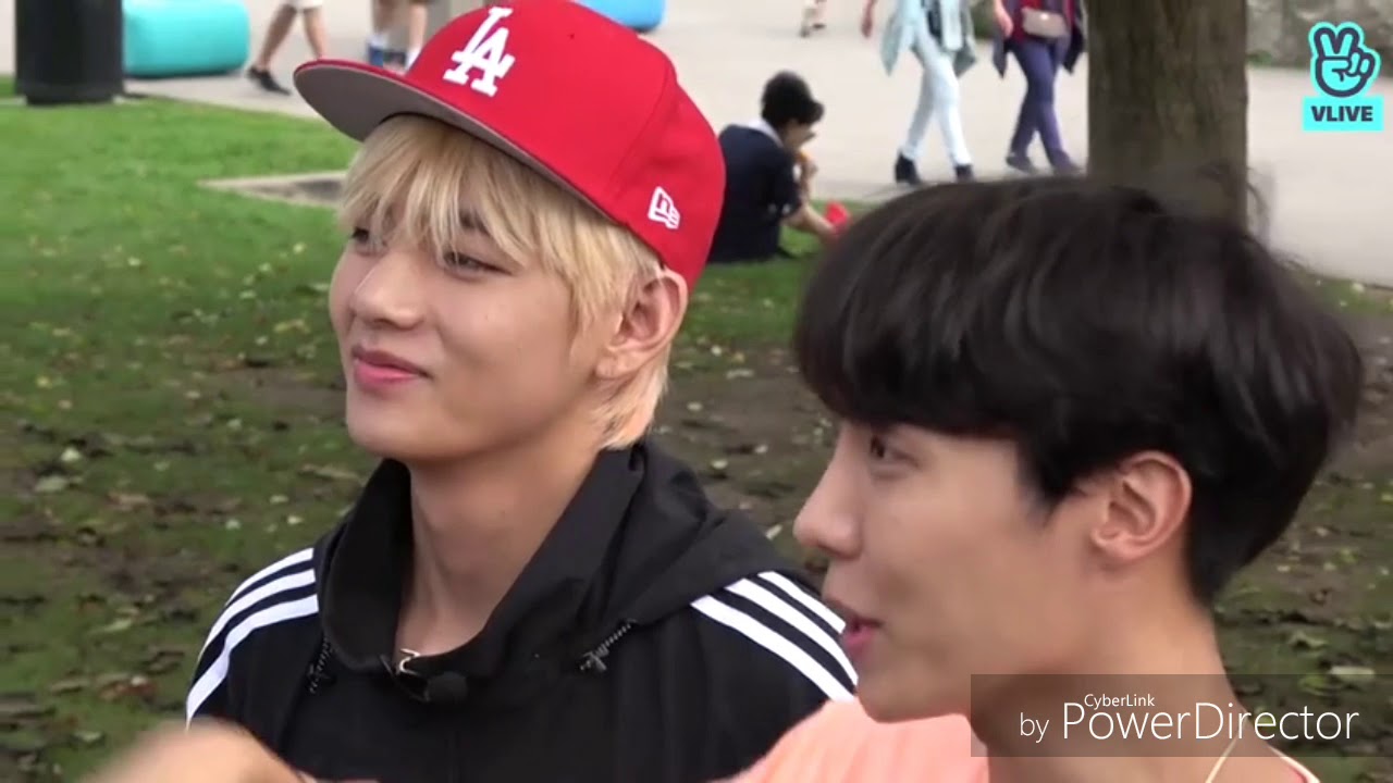 vhope moments💚❤💜