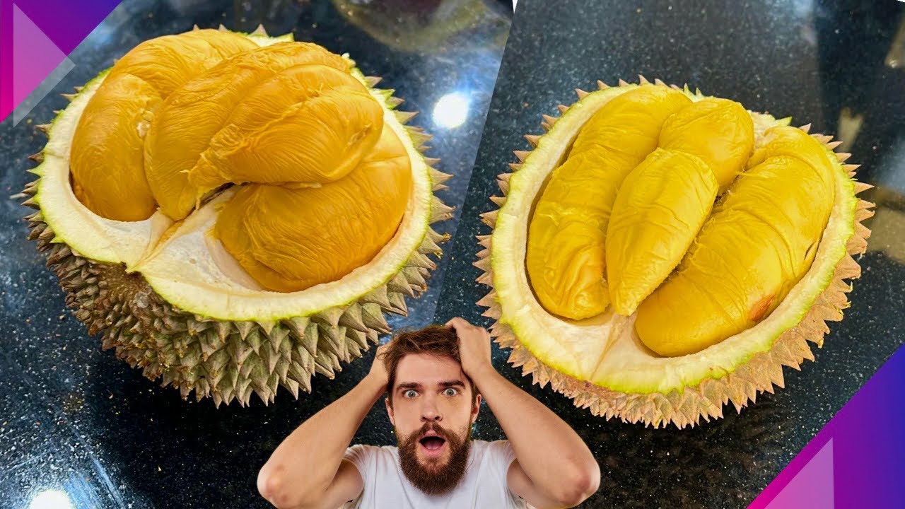 Durian Duri Hitam! Black thorn Durian! Durian ochee! D200! 2025
