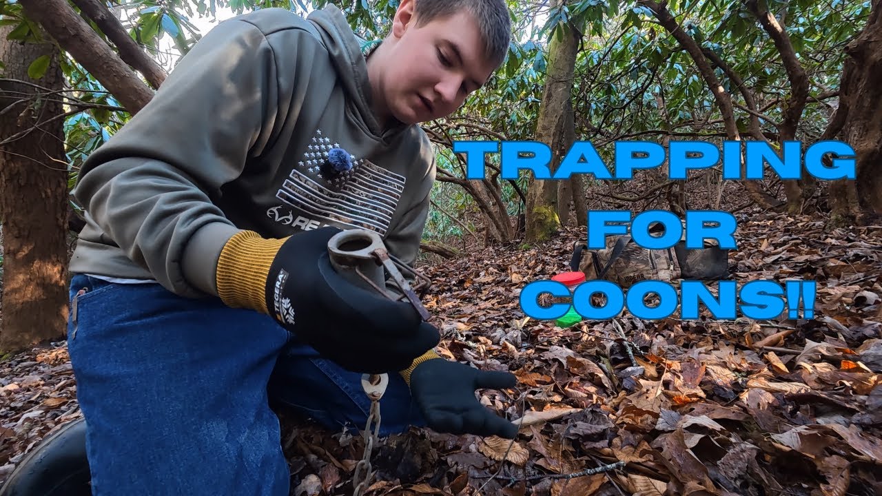 Coon Trapping With Dog Proofs!! Pt 1.