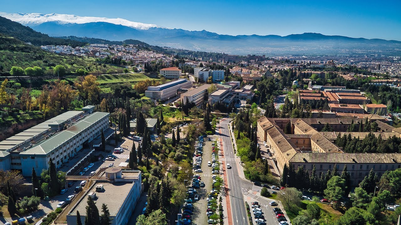 Campus de Cartuja