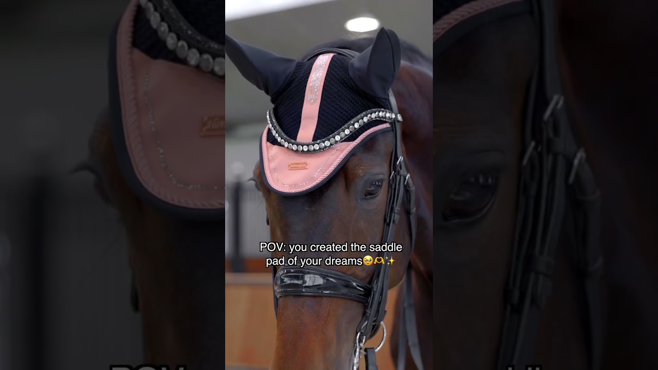 Saddle Pad of Dreams🤍 #equestrian #dressage #saddlepad #horseriding