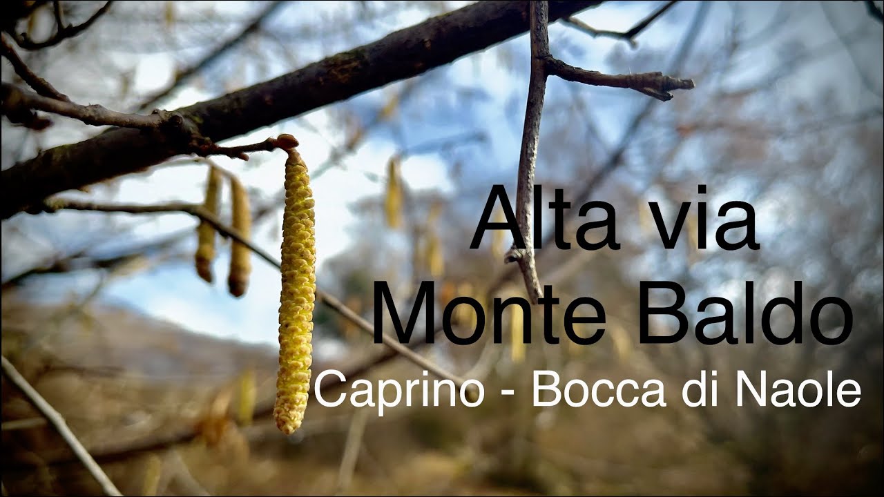 Alta via Monte Baldo - sentiero CAI 662 - Caprino vs Bocca di Naole.