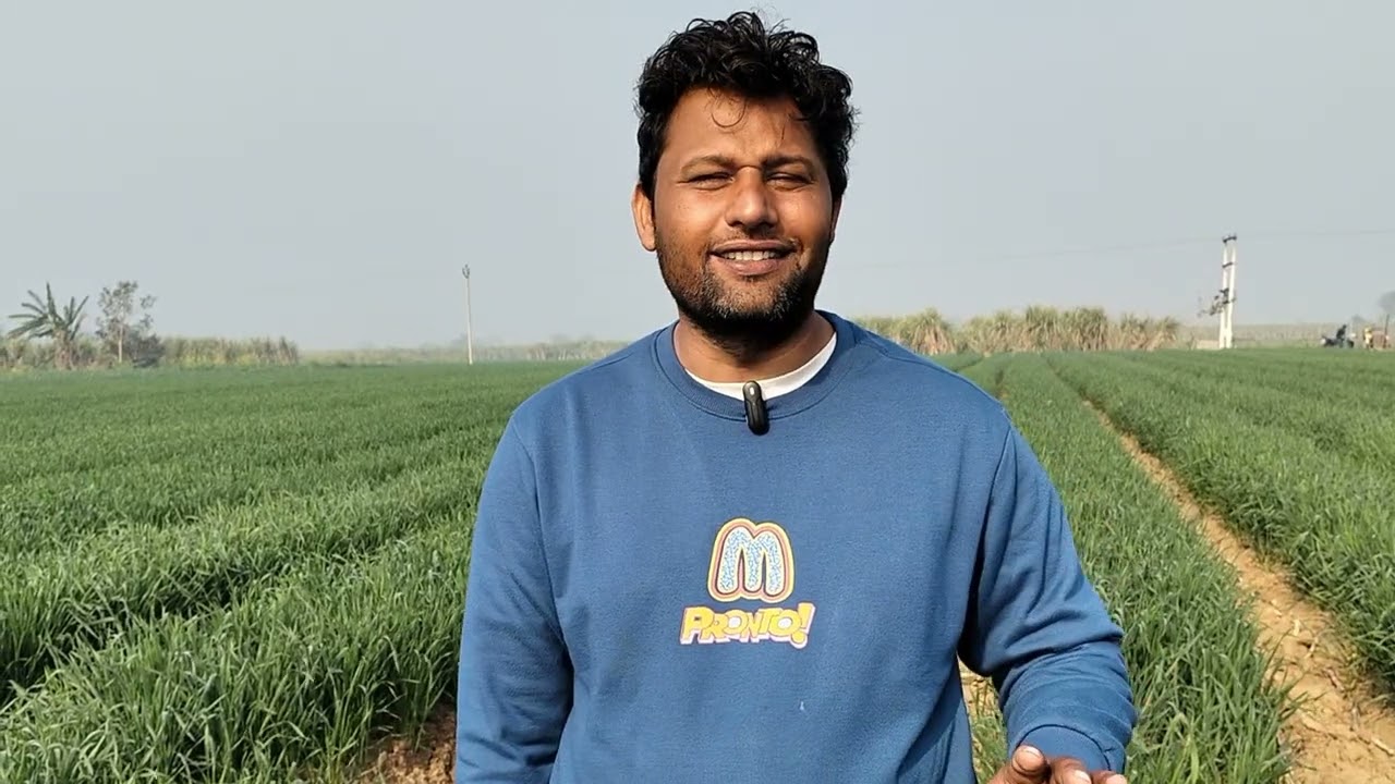 गन्ने की बुआई के बारे में जानकारी..