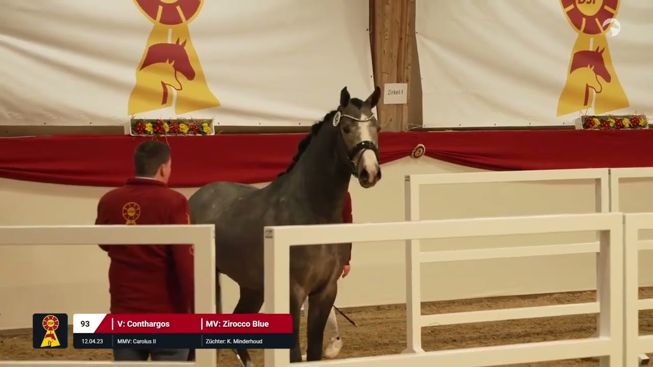 Lot 93 v. Conthargos / Zirocco Blue