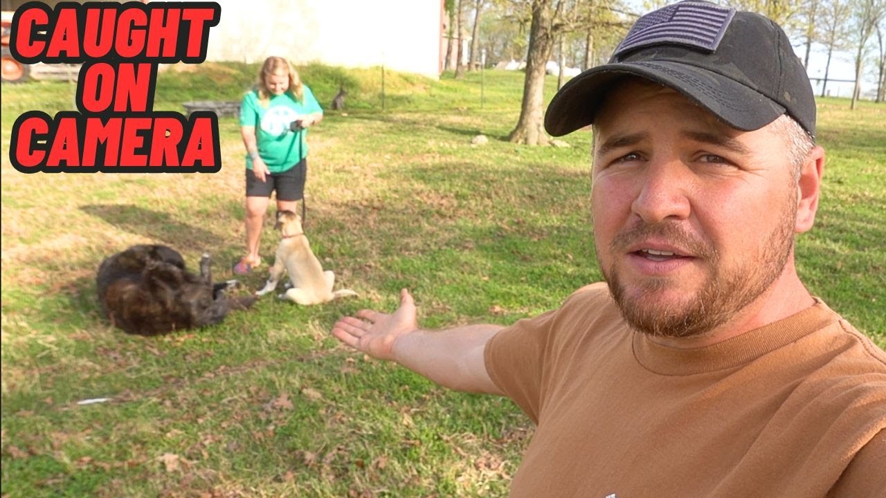 I Can't Believe She Left Like This! Caught On Reolink Camera